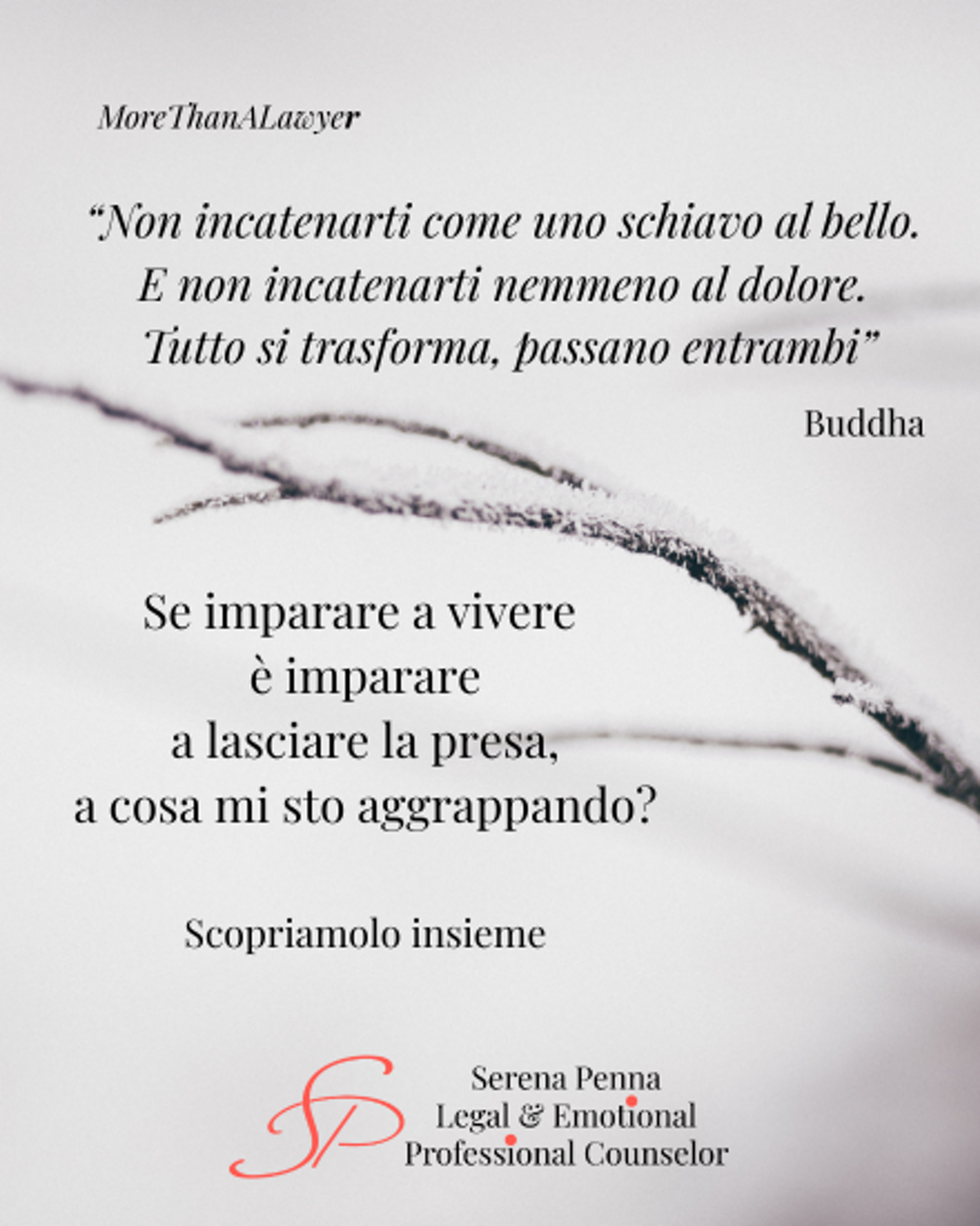13 febbraio 206.png